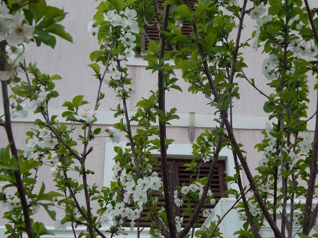 Apartments Vilanija Стая снимка